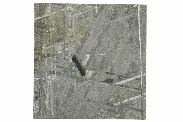 Etched Muonionalusta Meteorite Slice ( g) - Sweden #272635